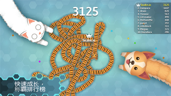 游戏码农游戏